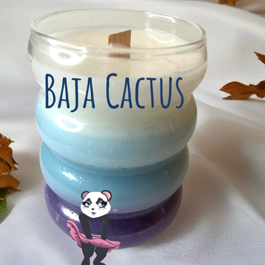 Bubble Jar Candles – Baja Cactus