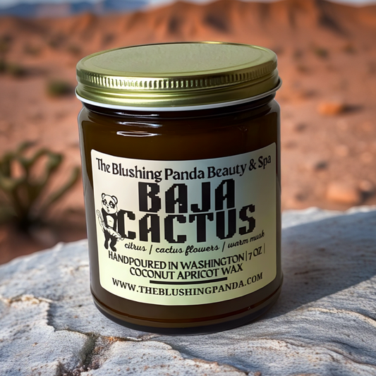 Baja Cactus - 7 Oz Candle